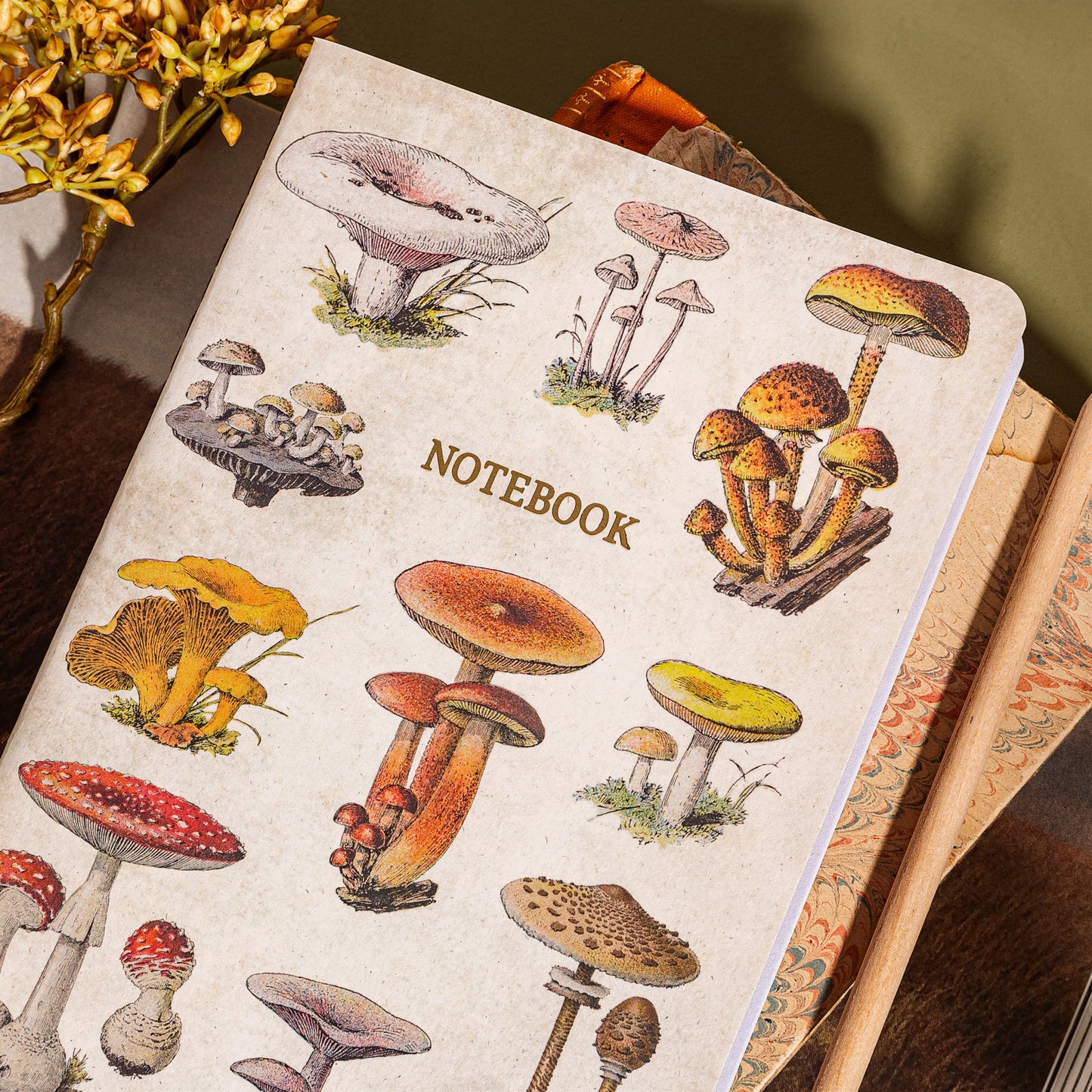 Vintage Mushrooms A5 Notebook By Sass & Belle